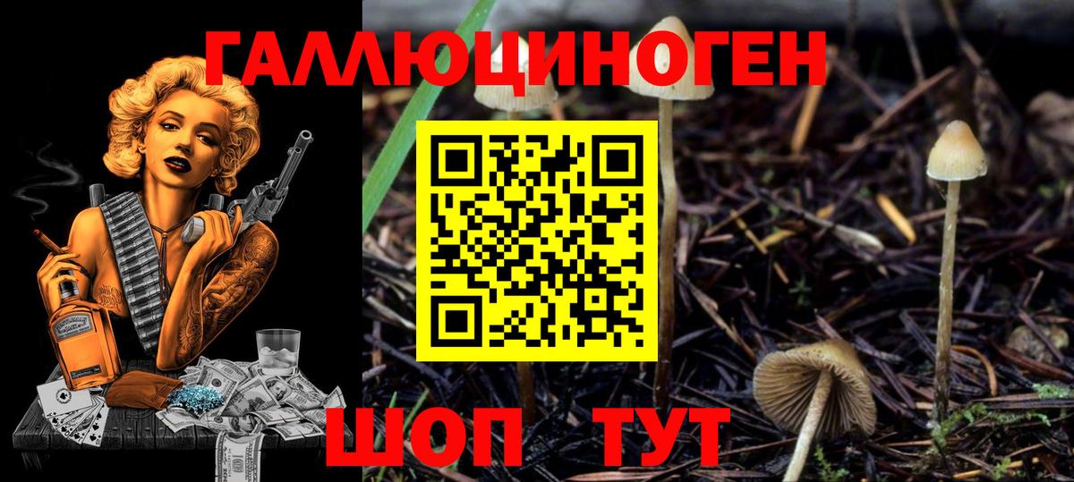 Каменск-Шахтинский  Псилоцибиновые грибы Cubensis  Псилоцибиновые грибы мухоморы  Вход с VPN 