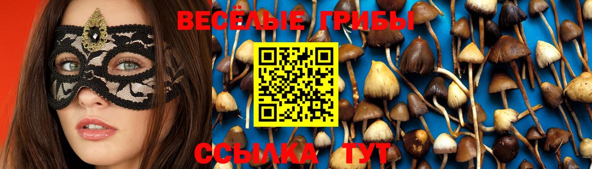 Псилоцибиновые грибы Magic Shrooms Каменск-Шахтинский